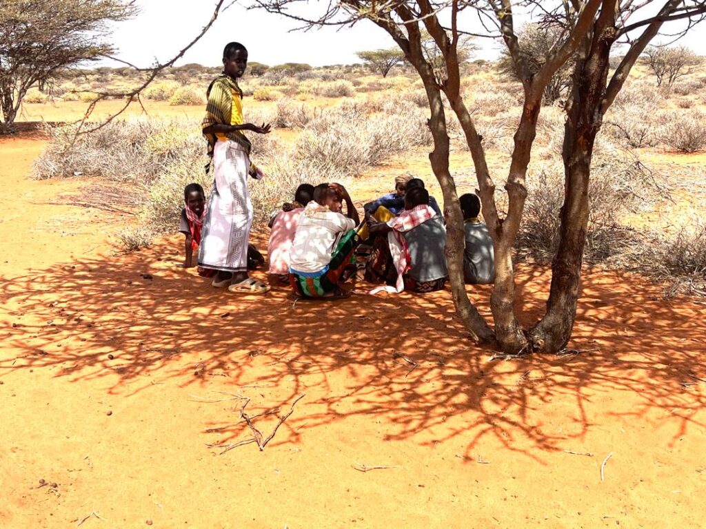 Campagne d’alphabétisation 2024 image 2025 03 27 à 16.06.00 4f0080ab