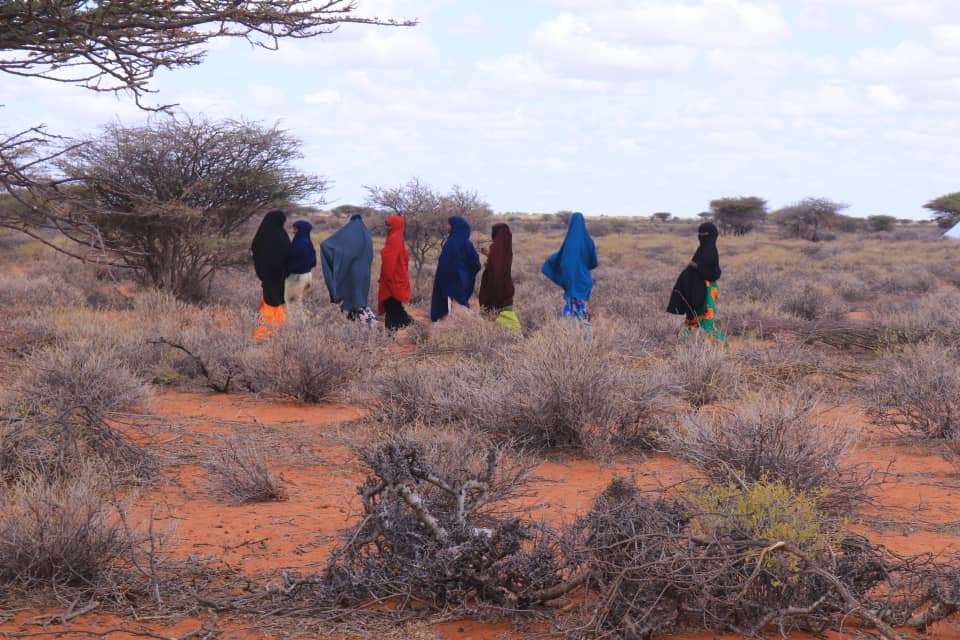 Campagne d’alphabétisation 2024 image 2025 03 27 à 16.08.16 40207516